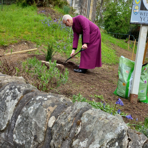 The Yew is planted.