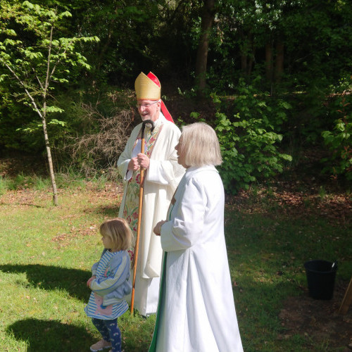 Viewing the Cherry Tree planted 3 years ago to the day